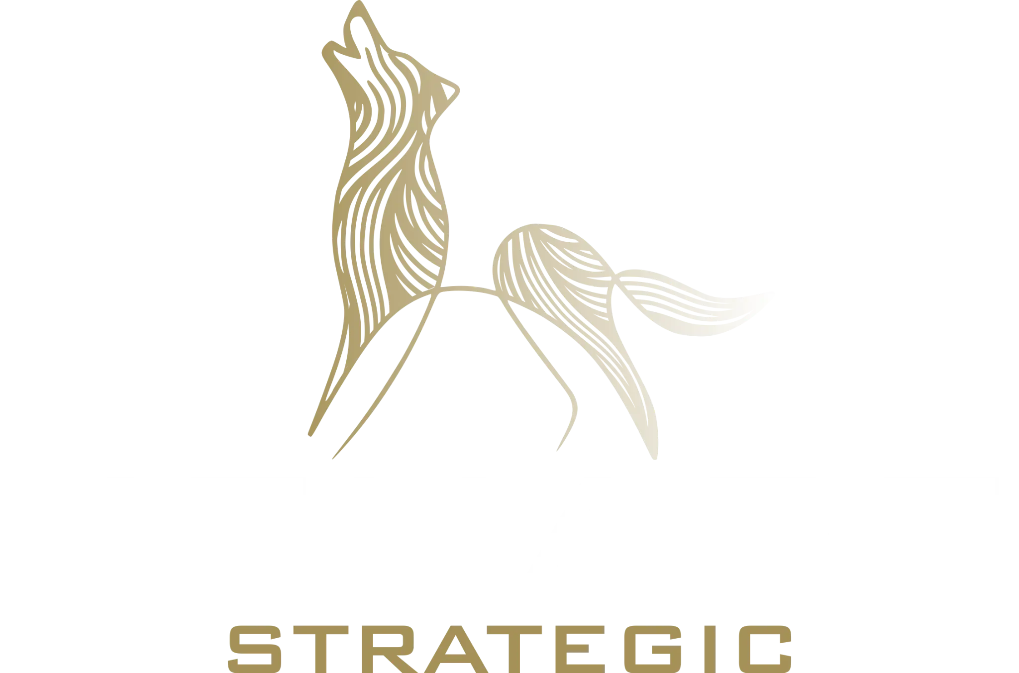 Henare Strategic
